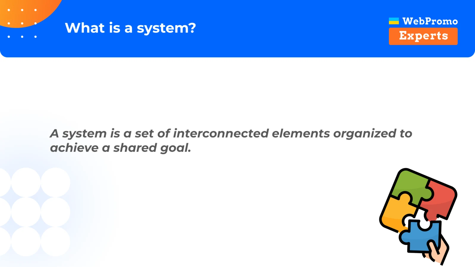 A system defined as interconnected elements organized around a shared goal.