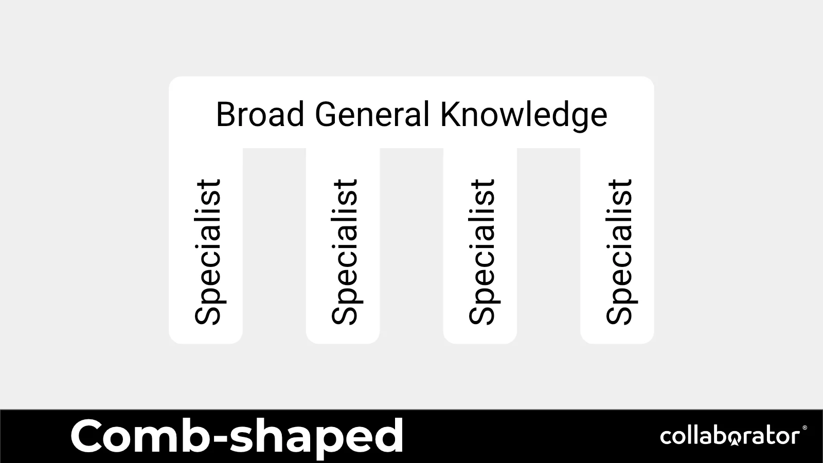 A comb-shaped competency model with broad general knowledge and several specialist depths.