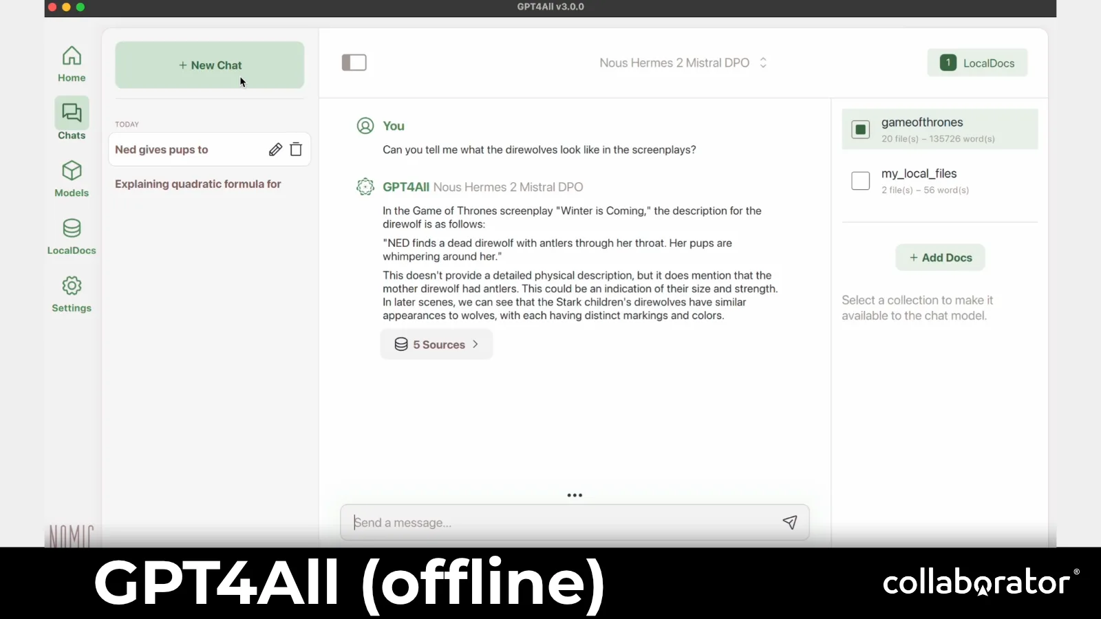 GPT4All as a local model interface.