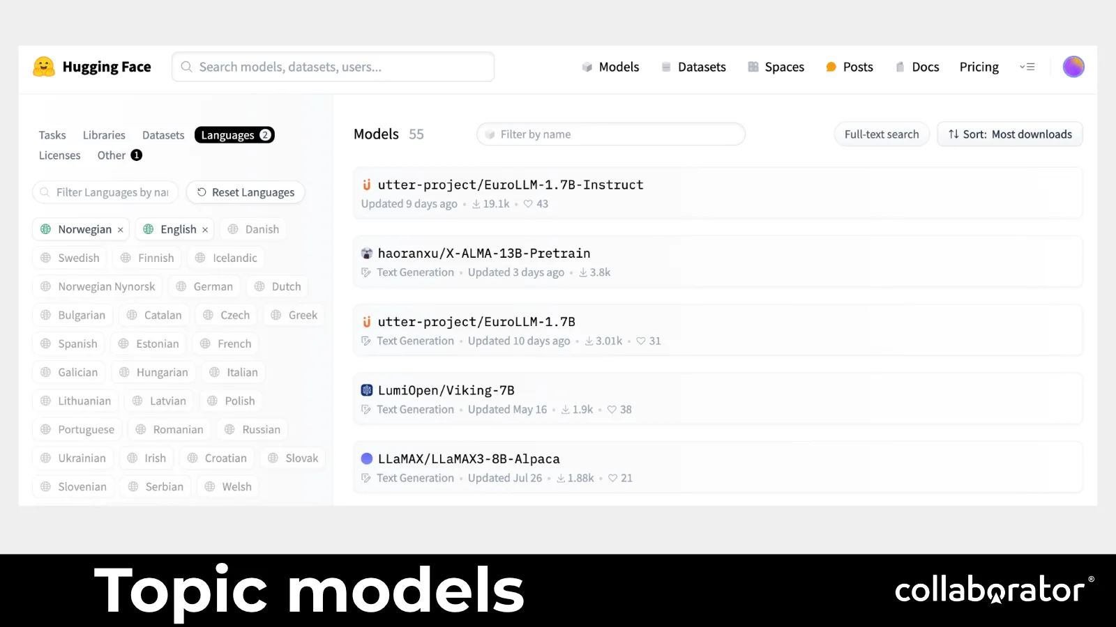 A second specialized model example with task and language information.